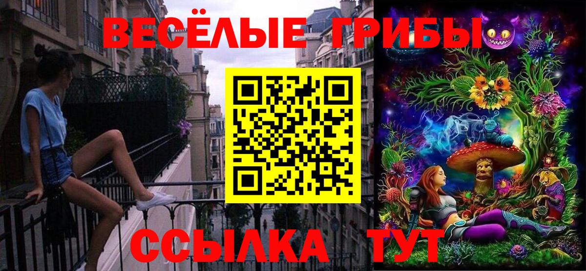 Псилоцибиновые грибы Magic Shrooms  цена наркотик  Галлюциногенные грибы ЛСД  Аргун  Вход с VPN 