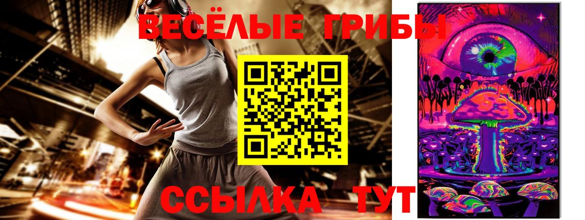 Галлюциногенные грибы Psilocybe Аргун